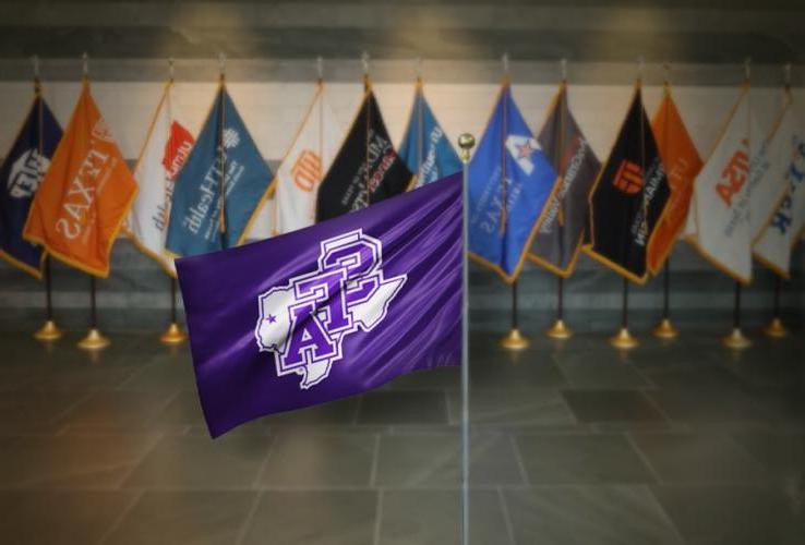 在其他UT系统的大学旗帜前的sb体育旗帜